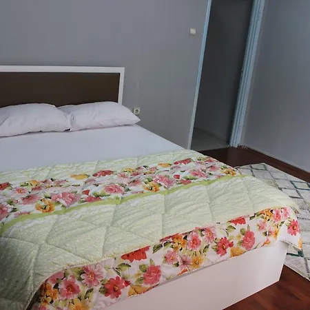 Apartment Carsi